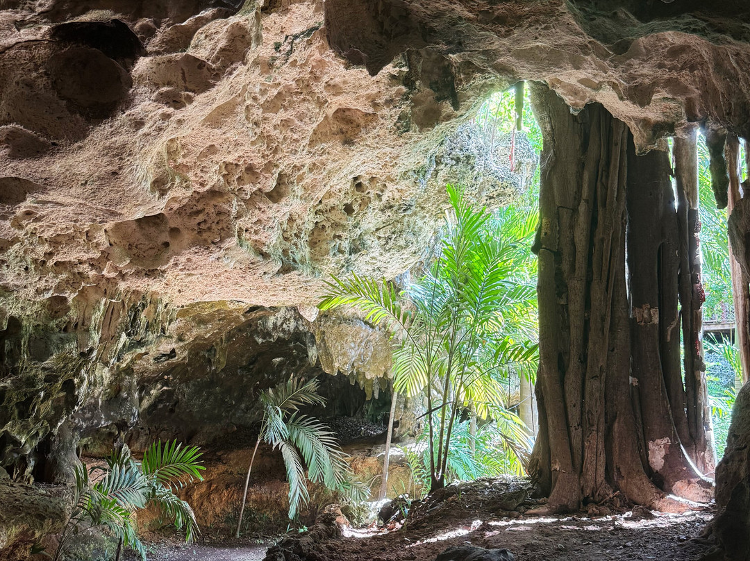 Cayman Crystal Caves-大开曼岛必去景点