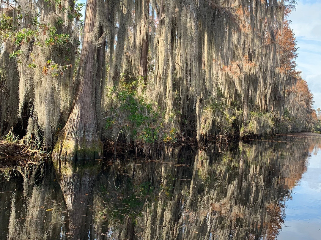 Okefenokee Adventures-Folkston必去景点