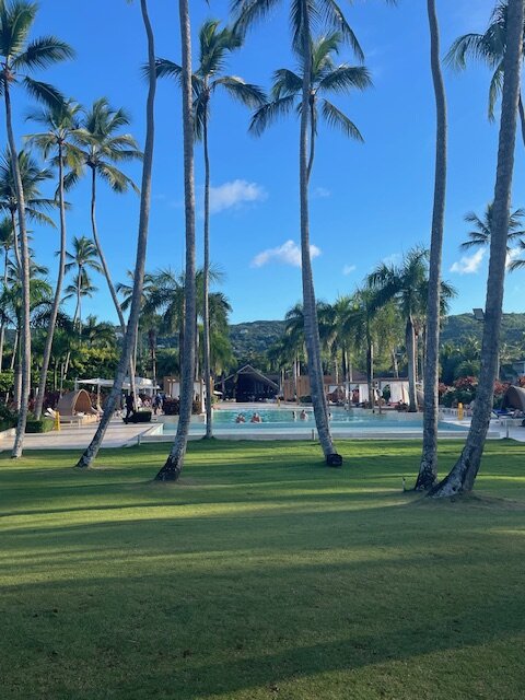 Viva V Samana By Wyndham A Trademark Adults All Inclusive-泳池