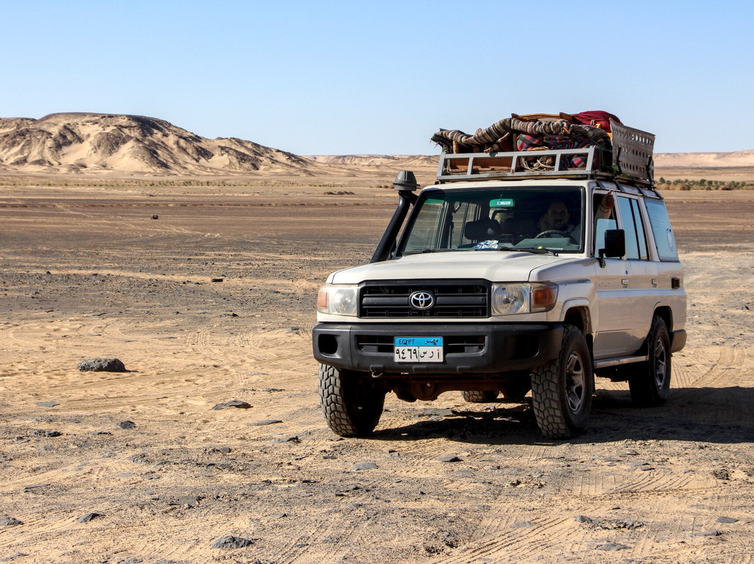 Dabuka Travel Visions-开罗必去景点