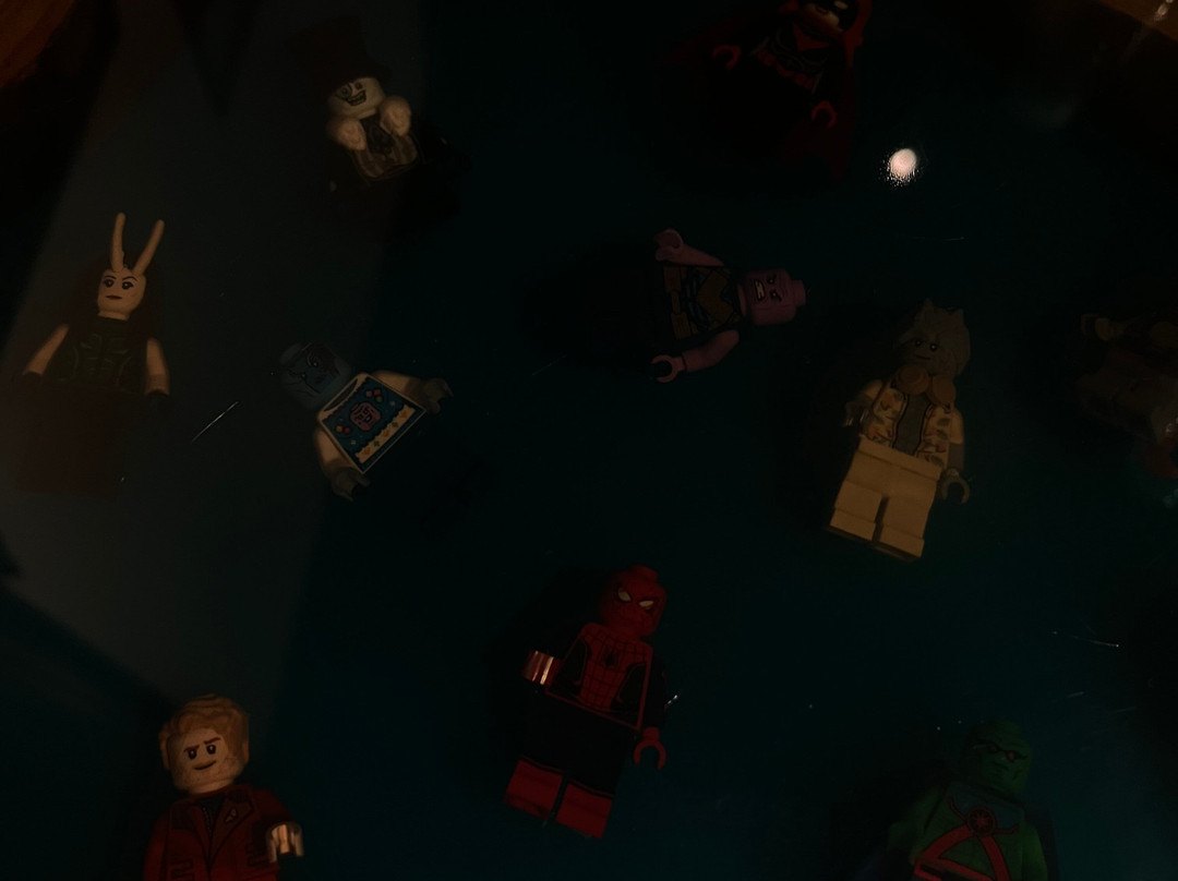 Bricks & Figs-克拉科夫必去景点