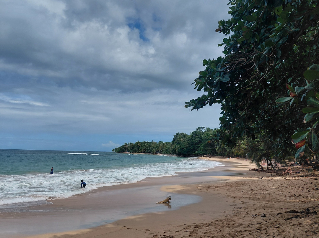 Playa Punta Uva-Punta Uva必去景点