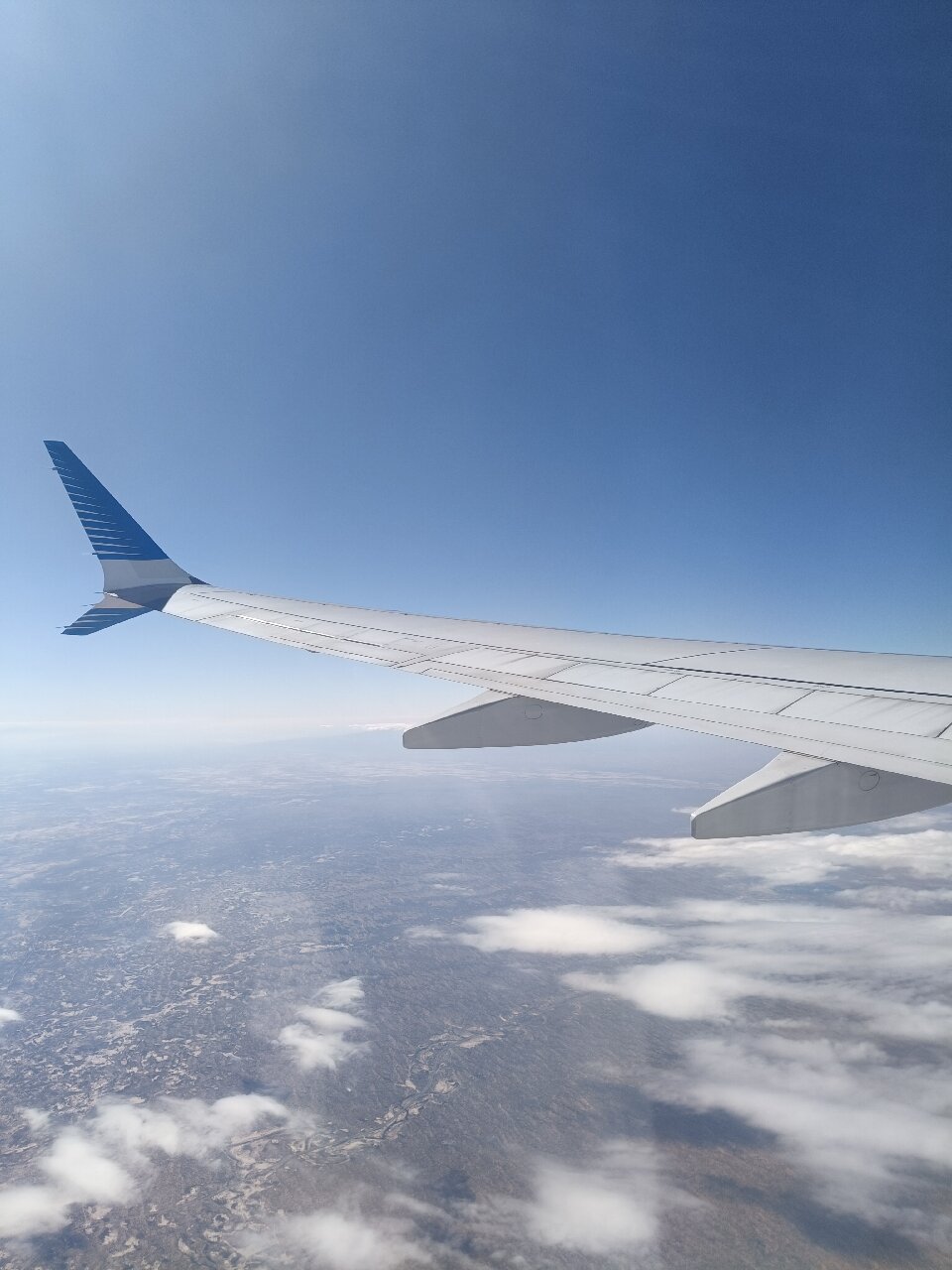 哈利斯科悦宜湾酒店-官方