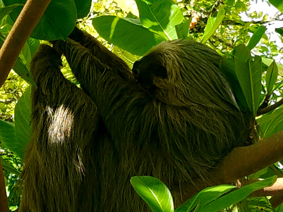 Pacific Trade Winds-Nuevo Arenal必去景点