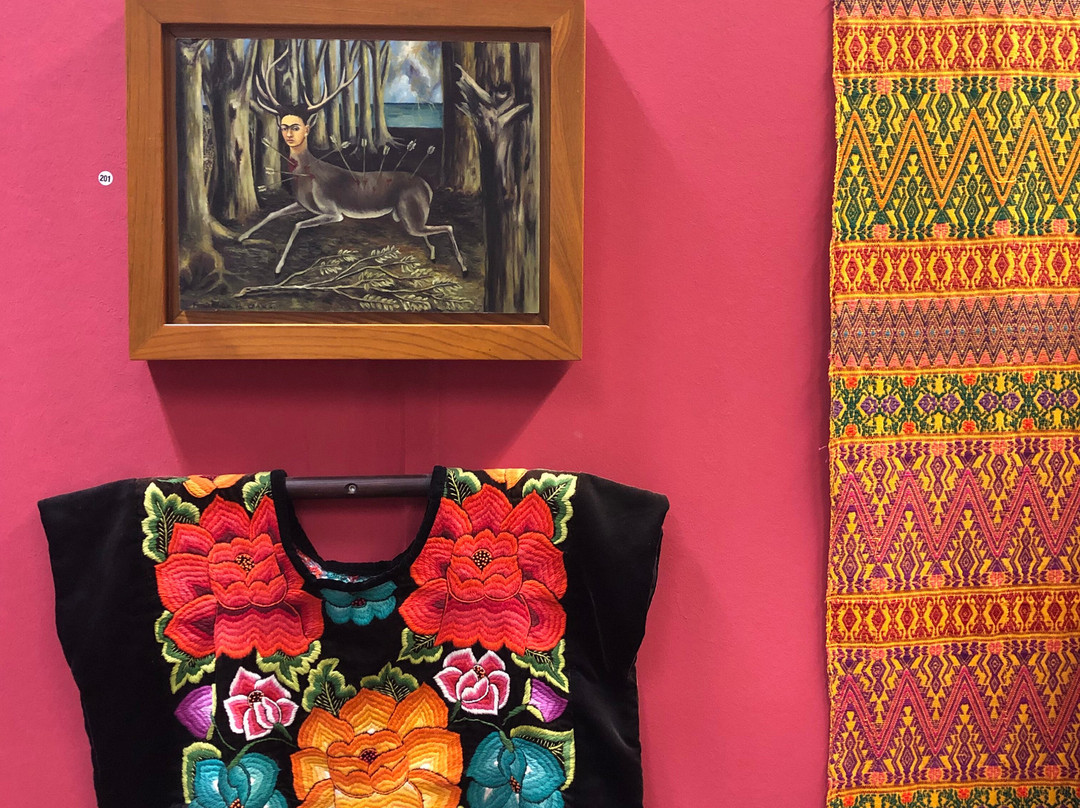 Frida Kahlo Ausstellung im Kunstmuseum Gehrke-Remund Baden-Baden-巴登巴登必去景点