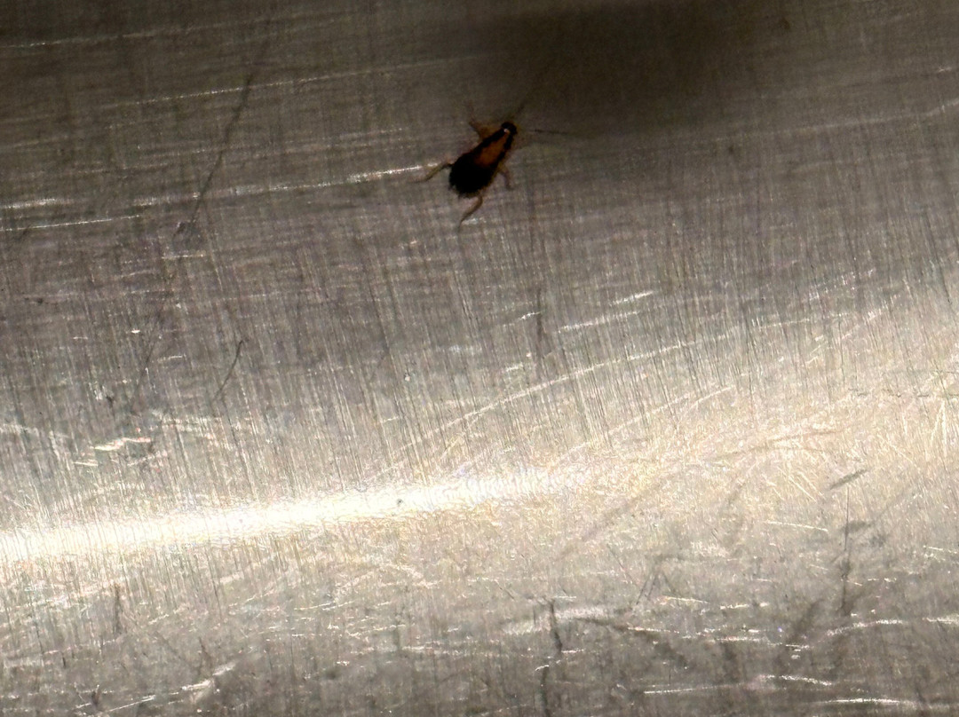 Extended Stay America Select Suites - Kalamazoo - West主图