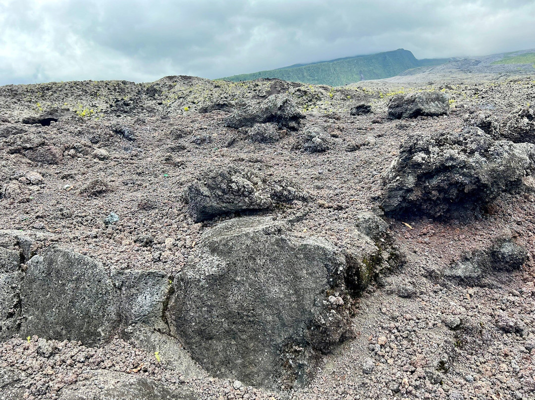 Enclos Du Grand Brûlé
