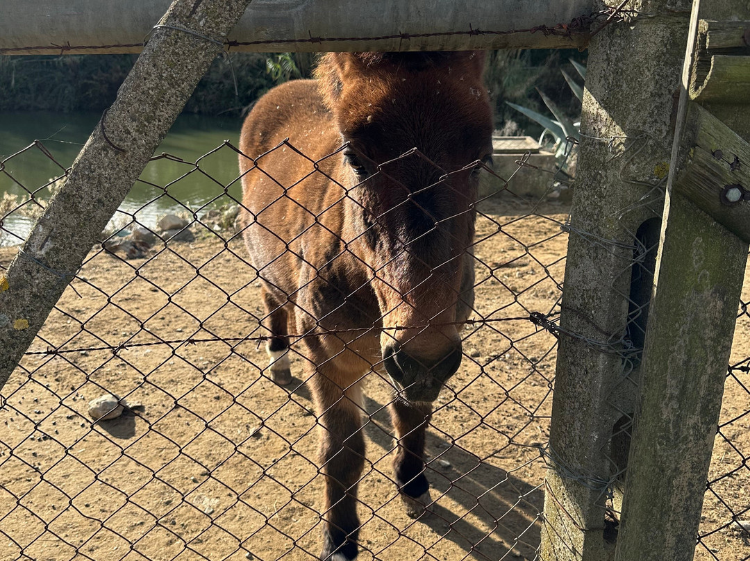 洛坎达乐曼德利亚内酒店主图