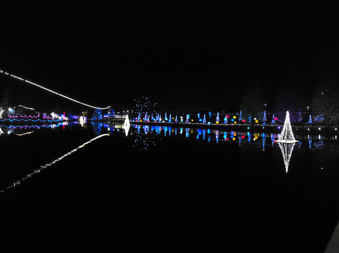 Screaming Raptor Zip Lines-Petersburg必去景点