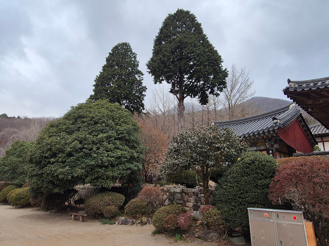 Seonamsa Temple-顺天市必去景点