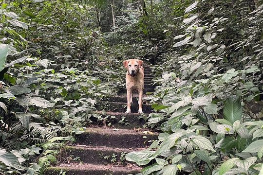 Poço dos Morcegos-Tres Cachoeiras必去景点