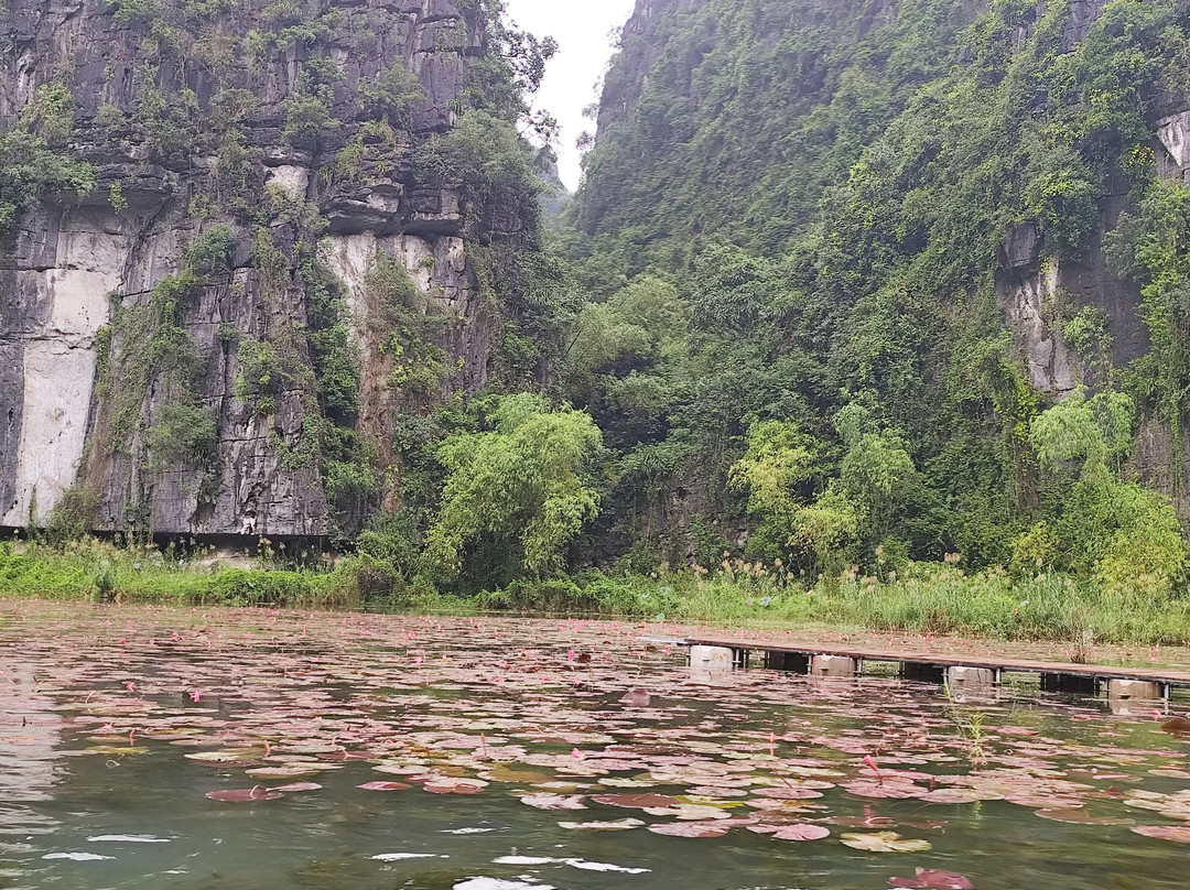 Vietnam Original Travel-胡志明市必去景点
