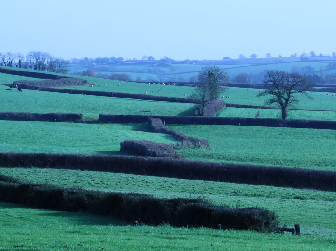 Nichols Nymet House主图