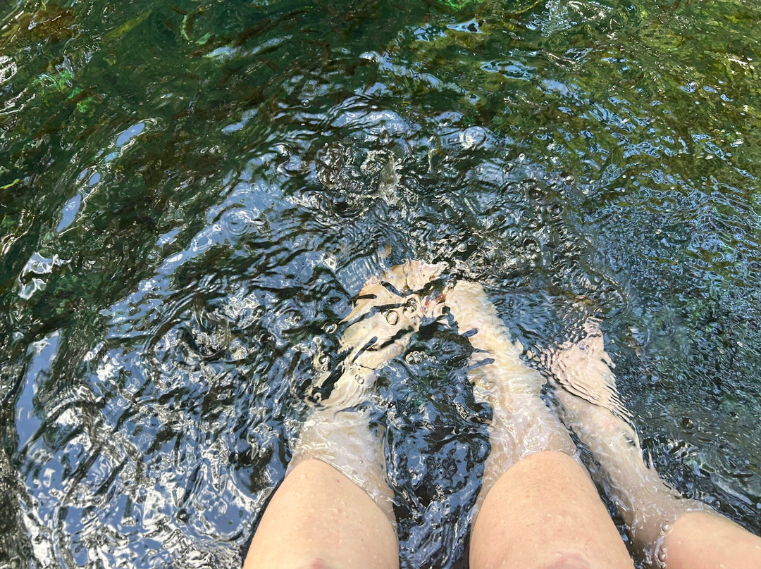 Cenote Cristalino-普拉亚德尔卡曼必去景点