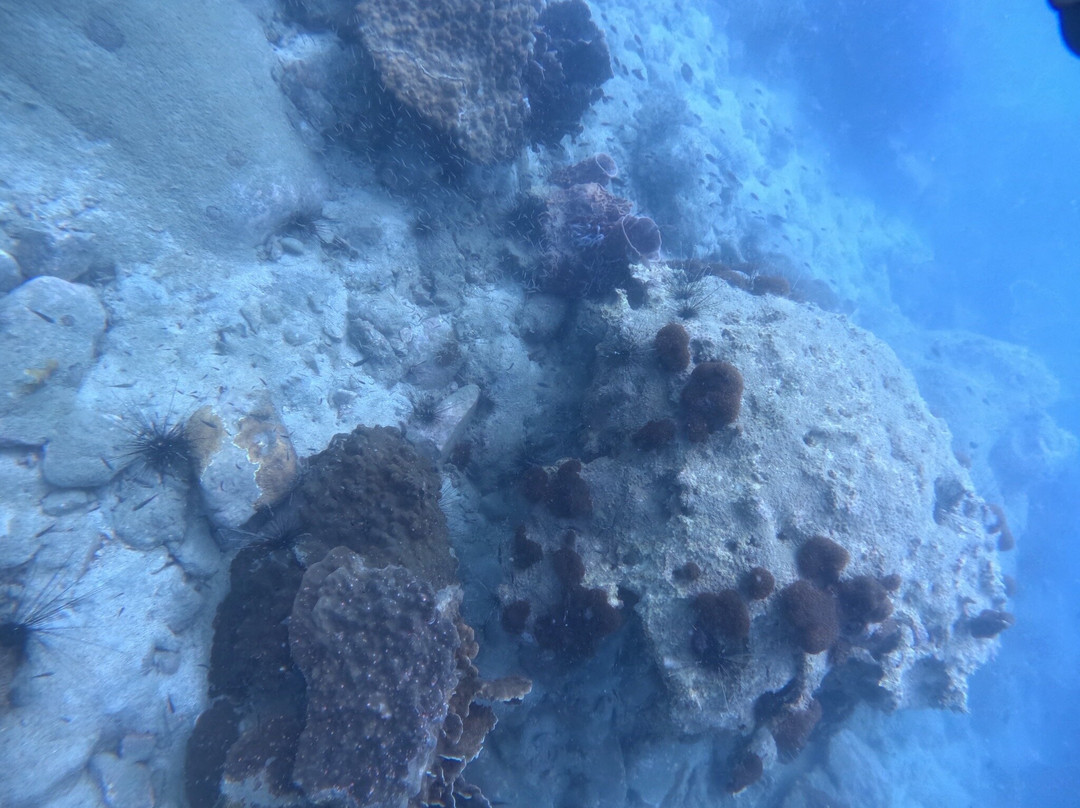 Chang Diving Center-象岛必去景点