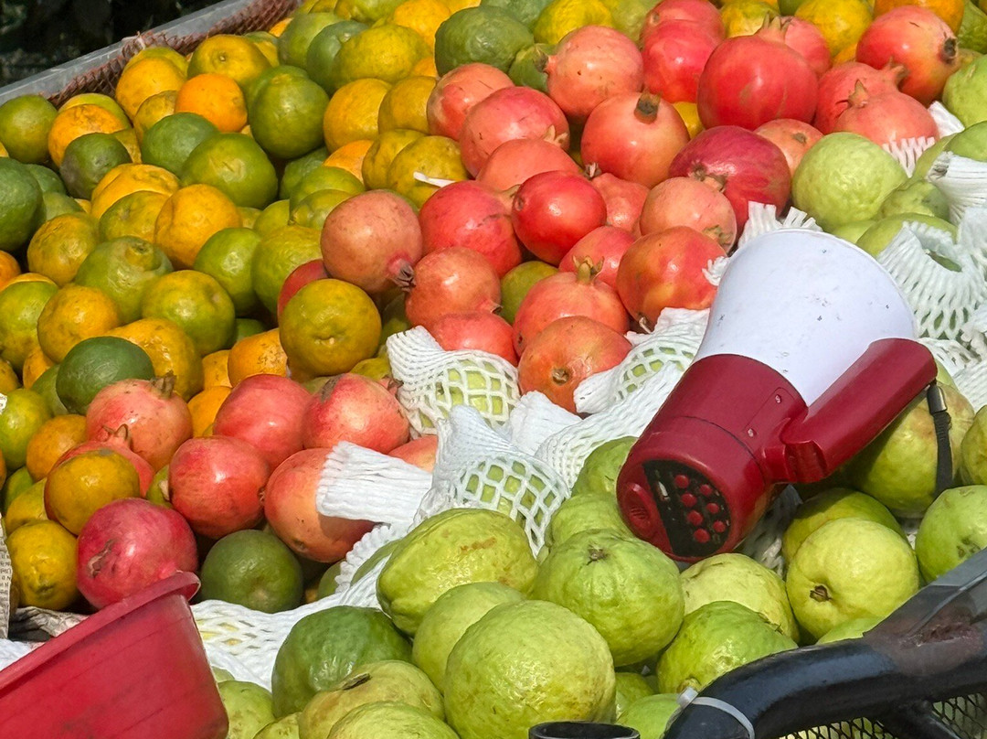 ET DMC - EASTBOUND TRAVELSCAPE DMC-新德里必去景点