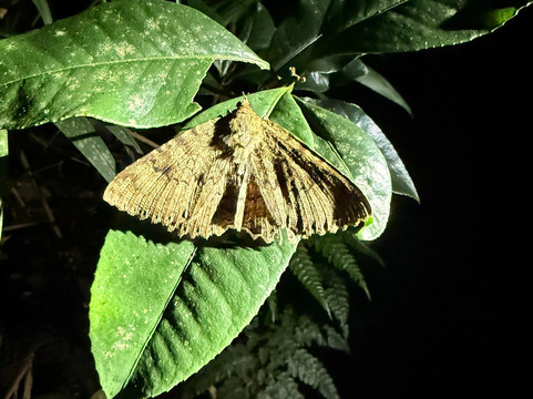 Monteverde Guided Tour-蒙特沃德必去景点