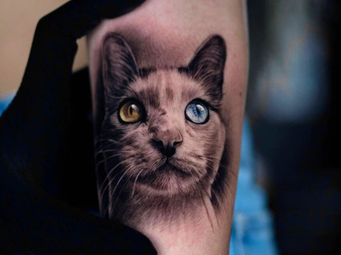 Inknation Studio-纽约市必去景点