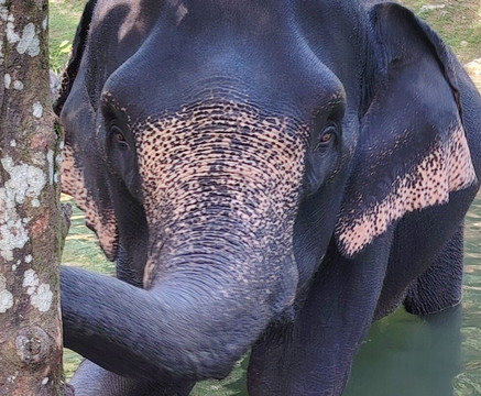 Best Travel Club-普吉岛必去景点