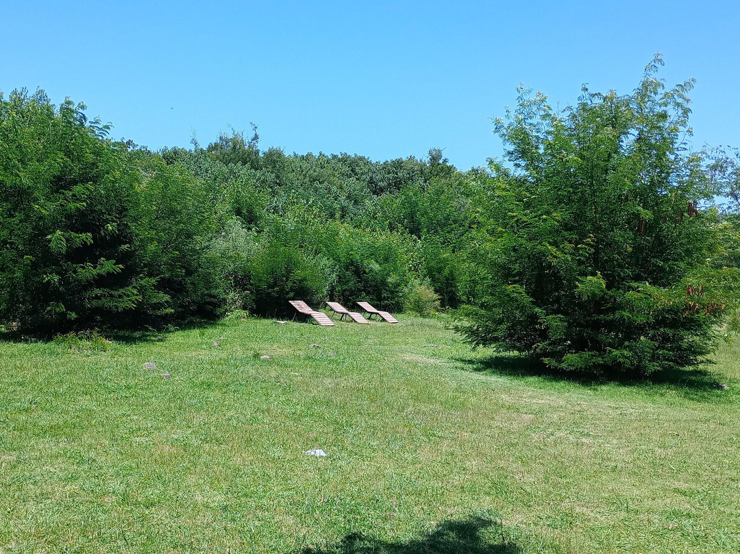 Parque Los Robles-Moreno必去景点