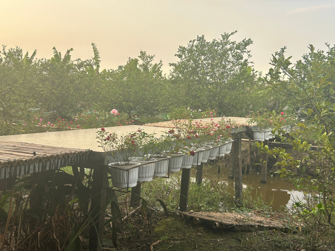 Neverland De Papillons - Country Cottage in Sa Dec, Mekong Delta