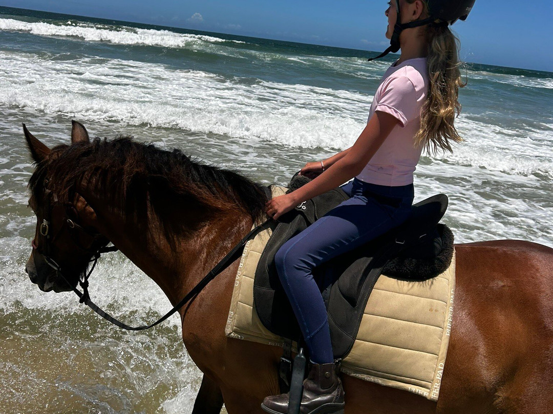 Equathon-努沙必去景点