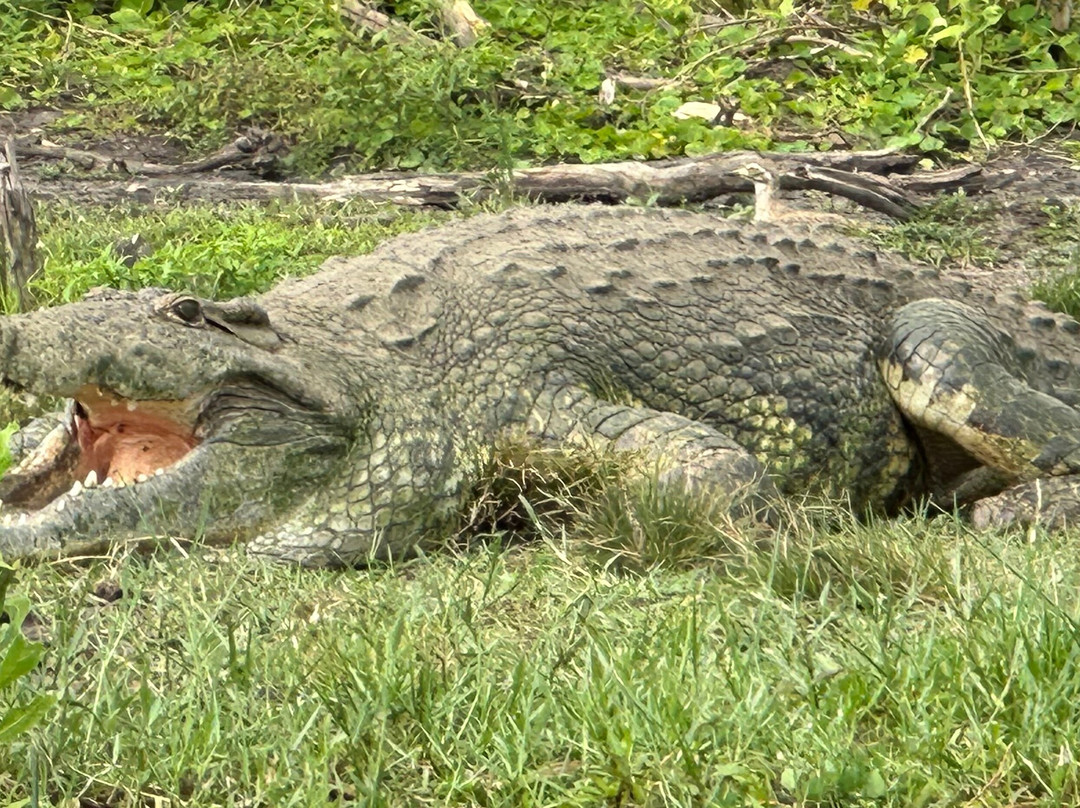 Uganda Family Tours & Travel-Fort Portal必去景点