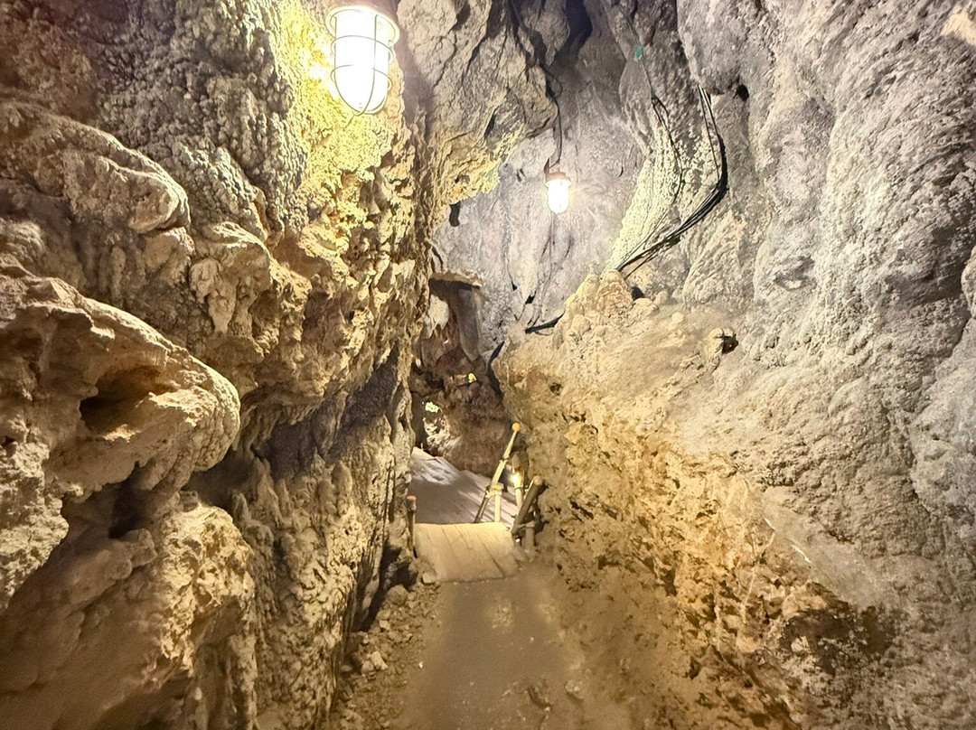 Cave Okinawa-宇流麻市必去景点
