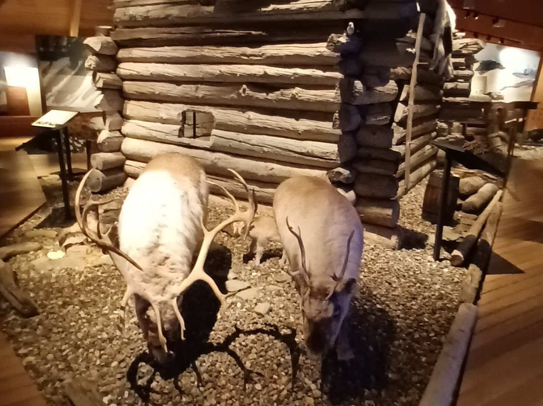 Svalbard Museum-朗伊尔城必去景点