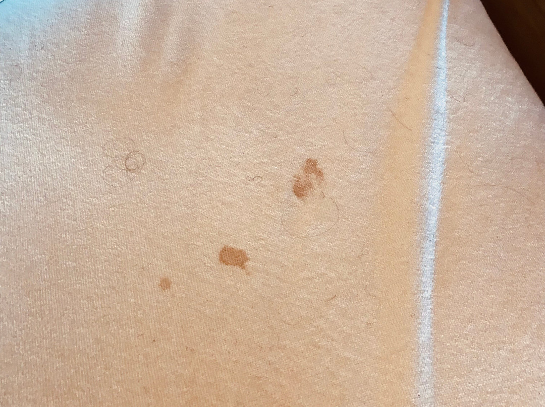 Baymont by Wyndham Lake Park Valdosta I75主图