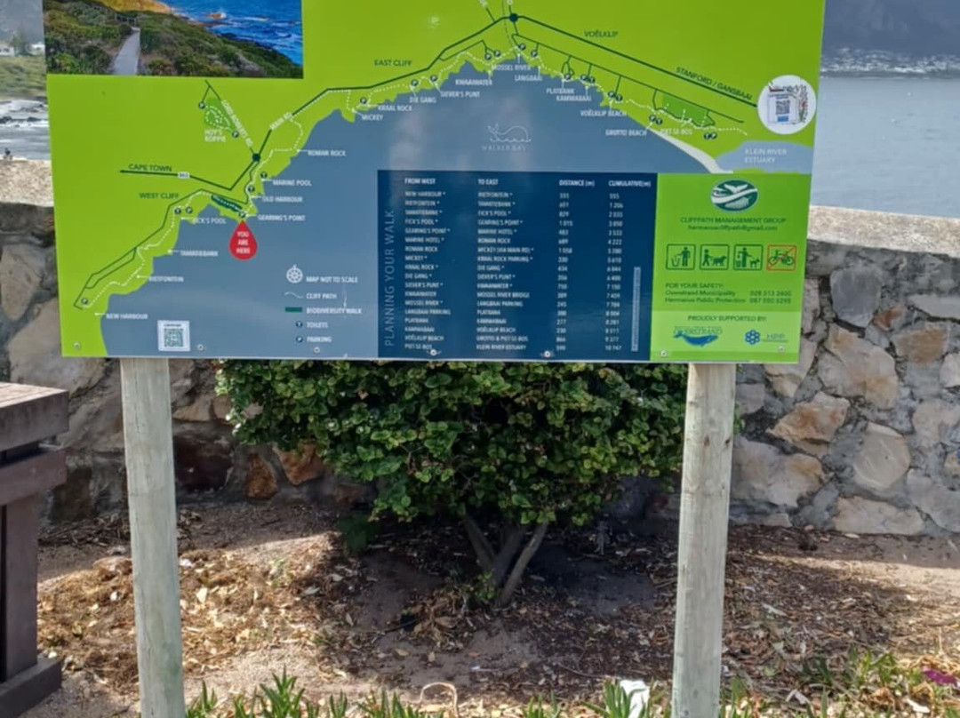 Hermanus Cliff Path-赫曼努斯必去景点