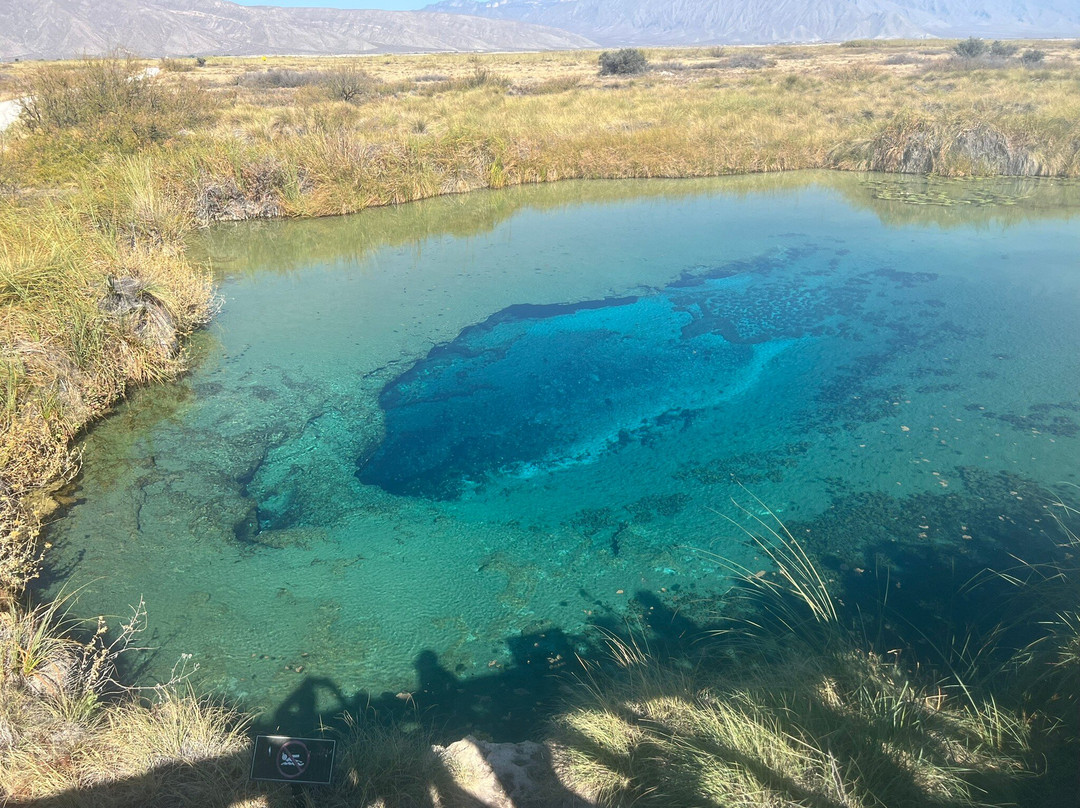 Poza Azul-Cuatro Cienegas必去景点