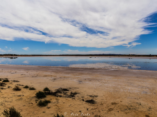Lake Gilles Conservation Park-Kimba必去景点