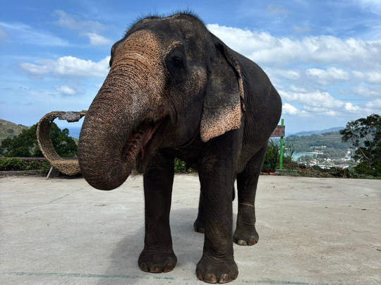 Pang Chang Kamala-卡马拉必去景点
