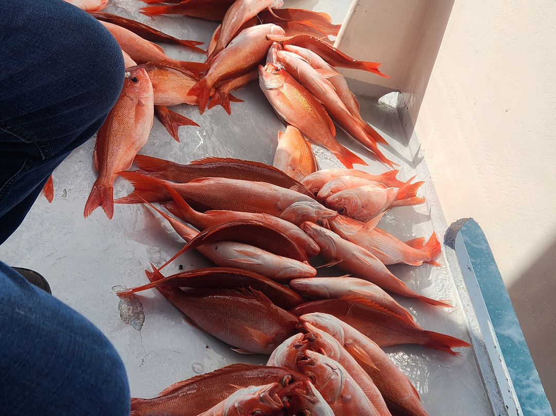 Party Boats DESTINY & DESTIN PRINCESS-Sandestin必去景点