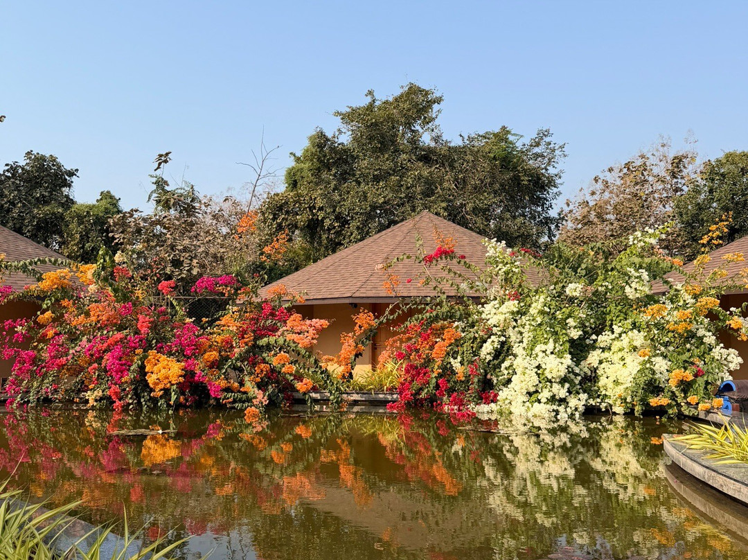 Jagira Ananta Elite主图