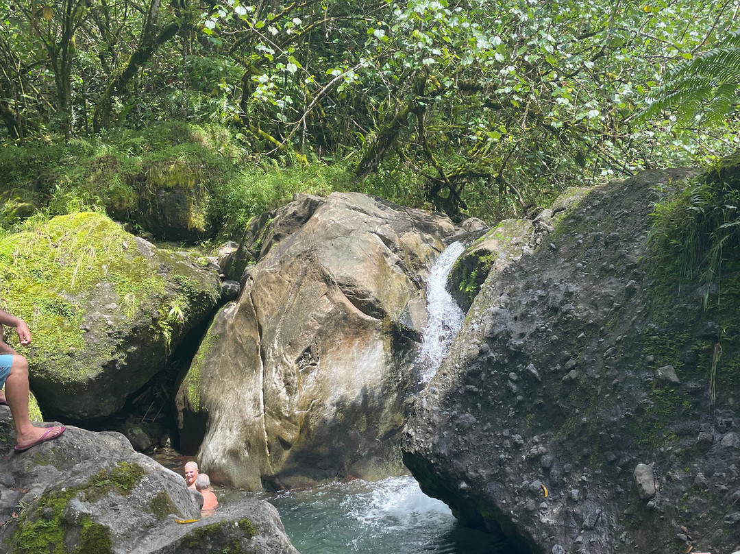 Tahiti Safari Expedition-阿鲁埃必去景点