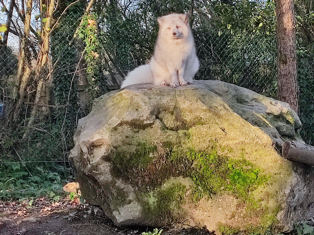 Legendia Parc-Frossay必去景点