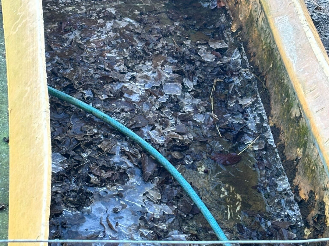 Ponyzeit Hof Bartelsen-Handewitt必去景点