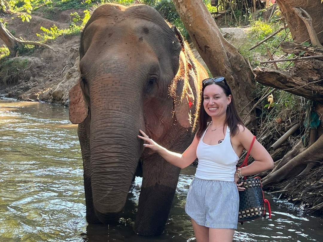 Elephant Sanctuary Care Park-清迈必去景点