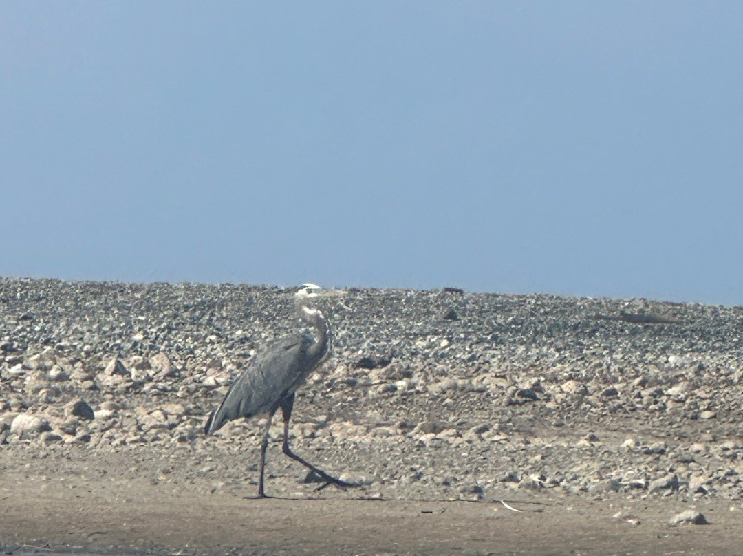 Costa Nativa Ecotours-Troncones必去景点