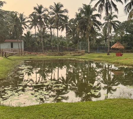 River Roost Resorts主图