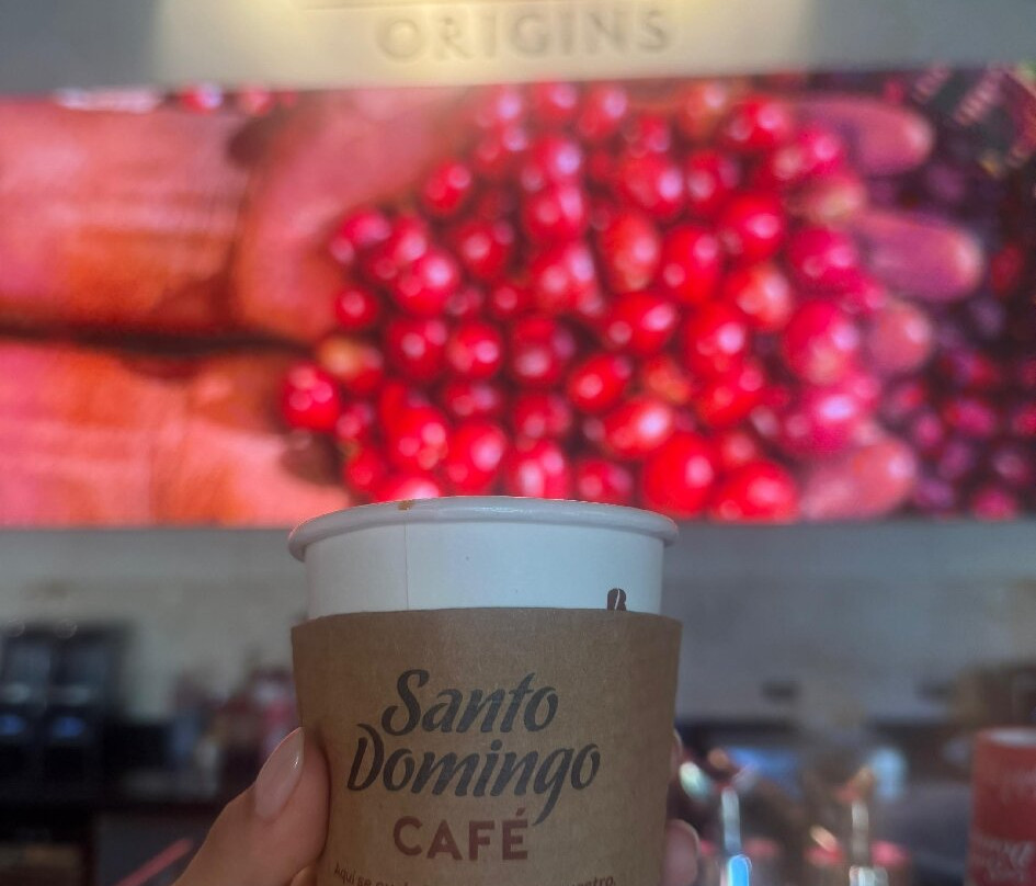 Dominicania-蓬塔卡纳必去景点