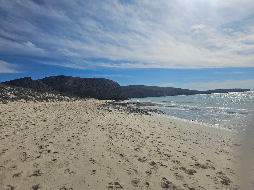 Punta Baja Tours-拉巴斯必去景点