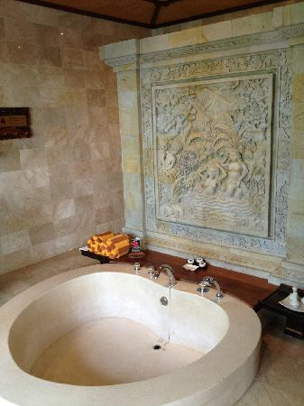 皇家皮塔马哈酒店主图