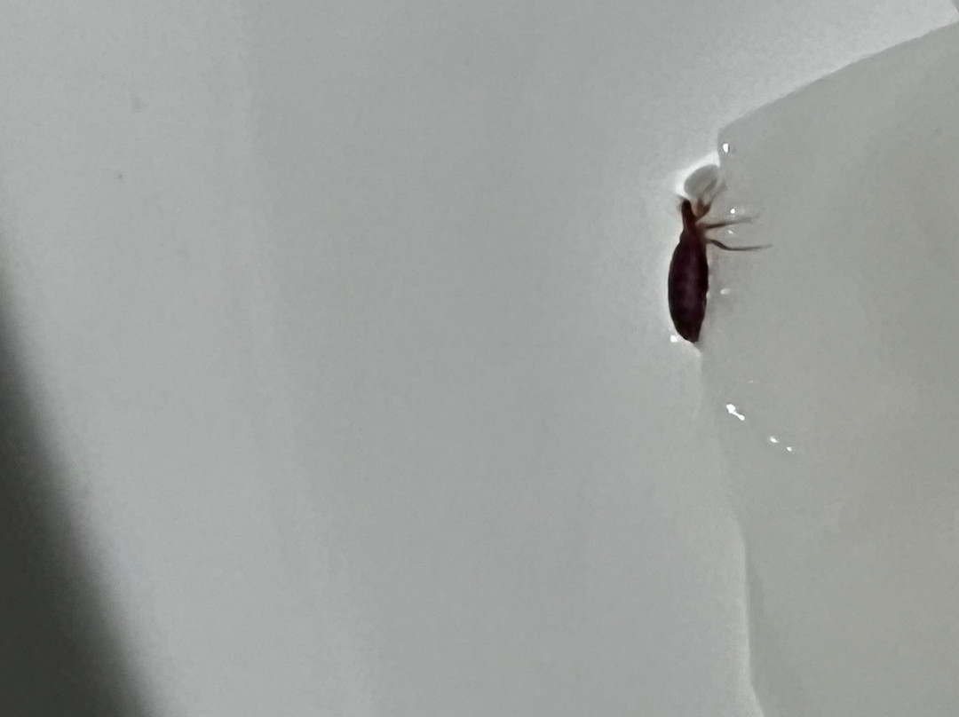 大学康福特茵酒店主图