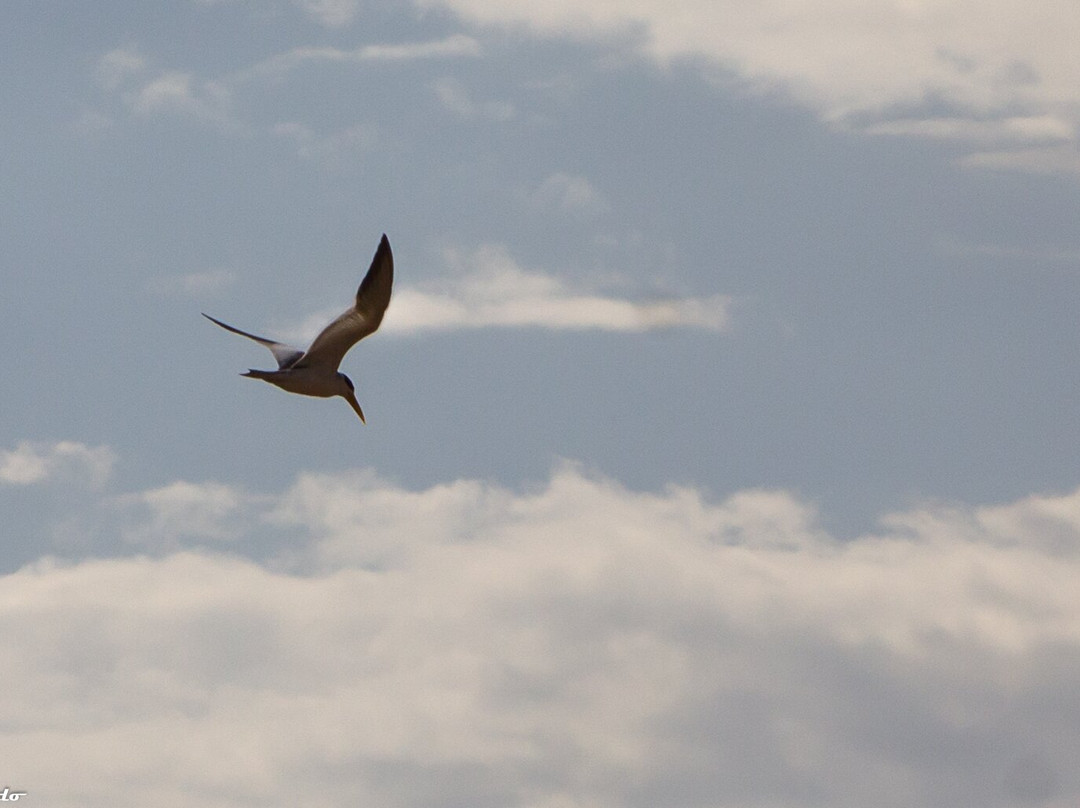 Complejo Costa Alta主图