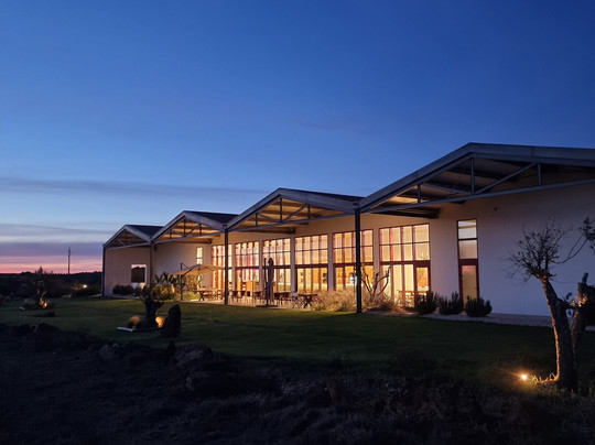 Vicentino Wines-Odemira必去景点