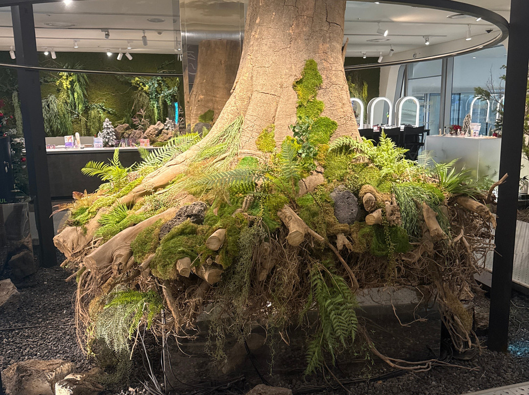 B The B-首尔必去景点