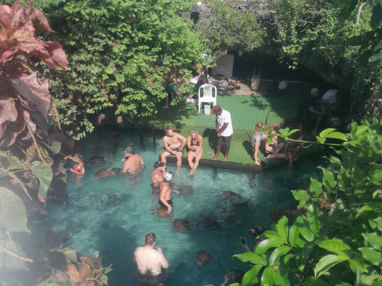 Zanzione Tour and Travel-桑给巴尔市必去景点